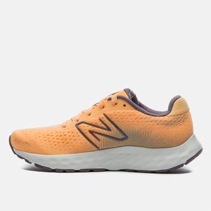 Tênis New Balance 520v8 Feminino